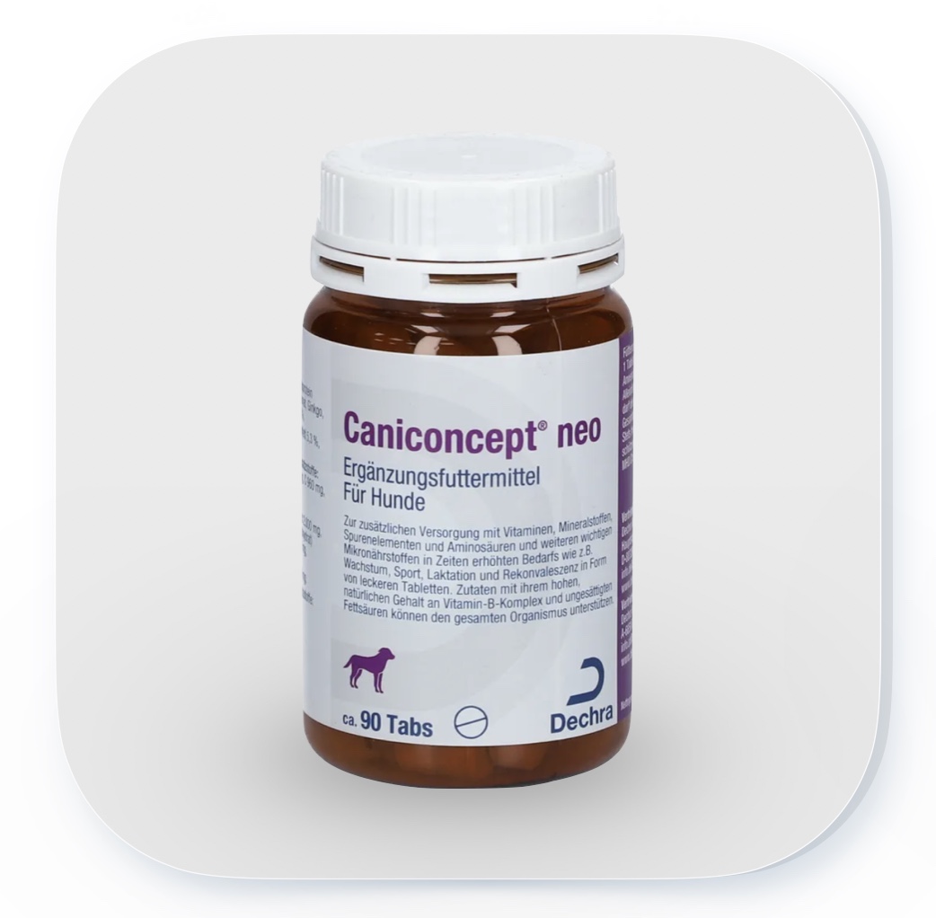 Caniconcept Neo