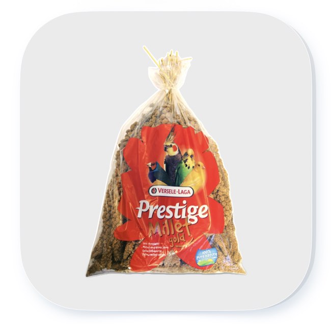 Kolbenhirse gelb 1 kg