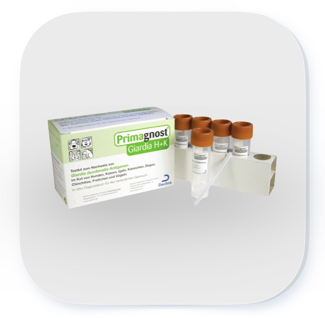 Primagnost Giardia 10er Pack