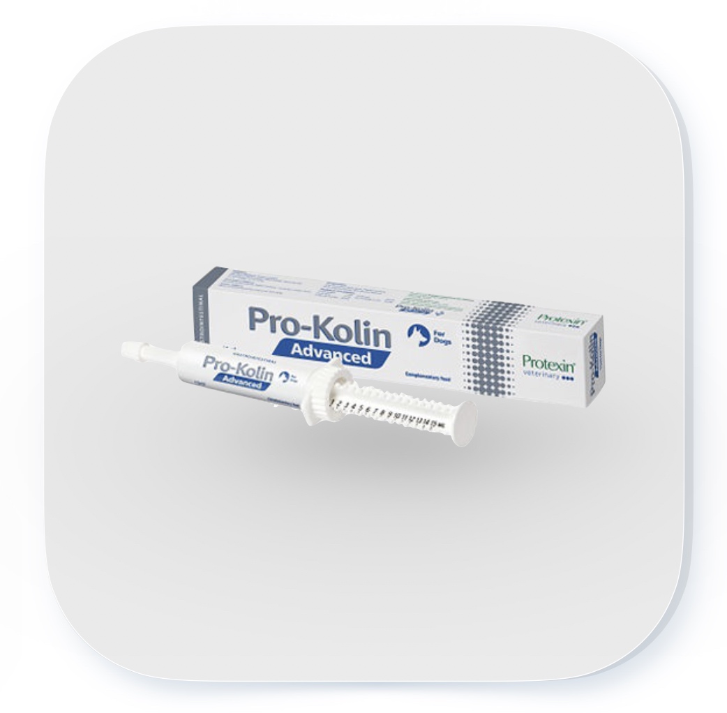 Pro-Kolin Advanced für Hunde