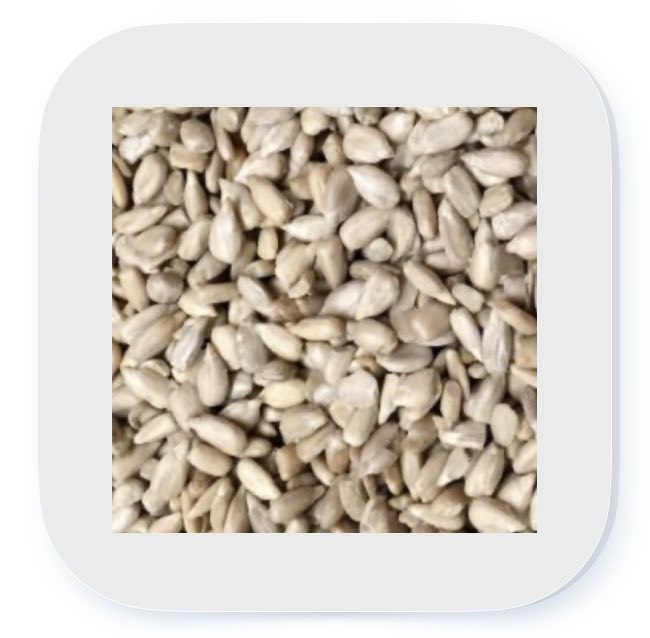 Sonnenblumenkerne geschält