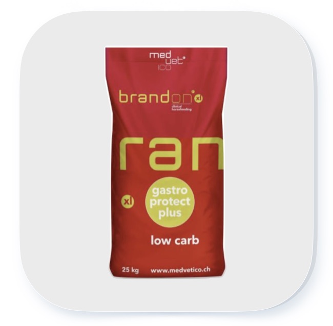 St. Hippolyt Brandon XL 25 kg