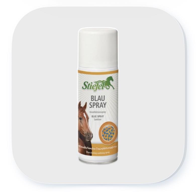 Stiefel Blauspray
