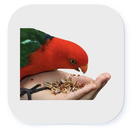 Vogelfutter
