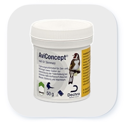 aviConcept - Federbildung