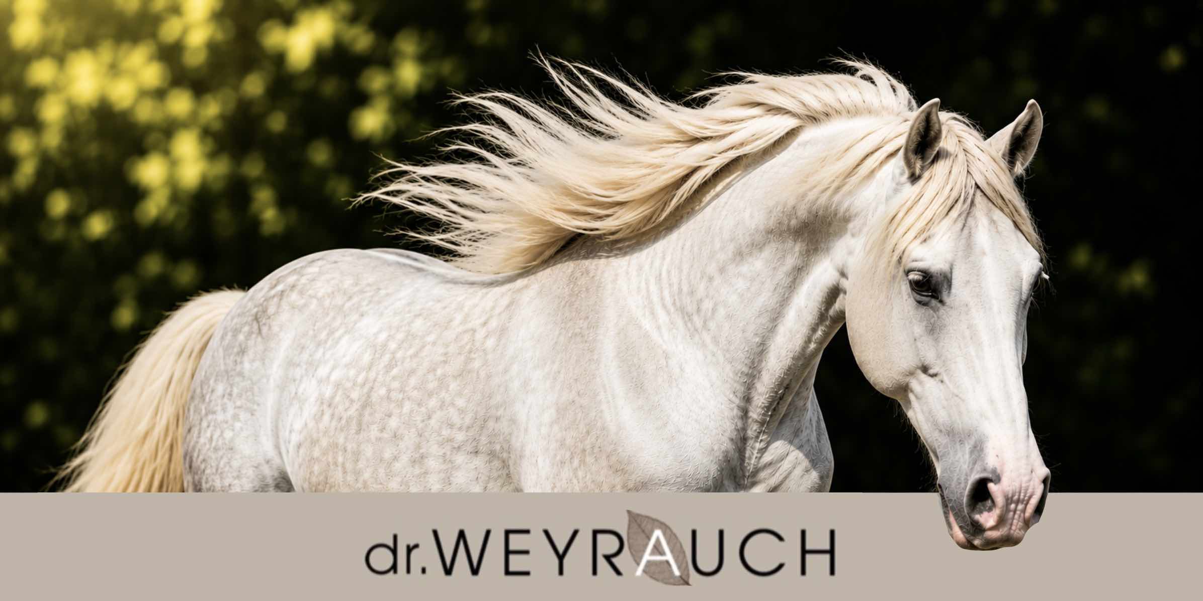 Dr.Weyrauch Mineralfutter und Ergänzungsfuttermittel für Pferde