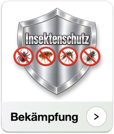 Bekämpfung