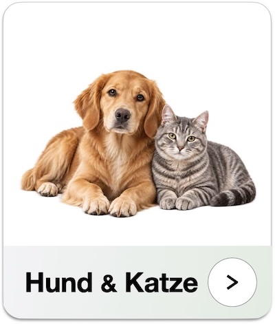 Hund und Katze