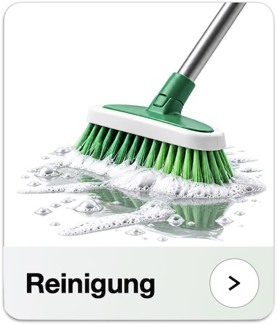 Reinigung