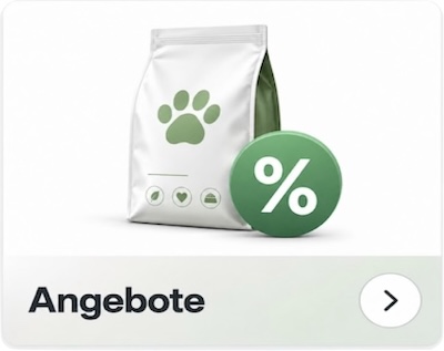 Angebote