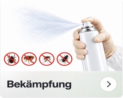 Bekämpfung