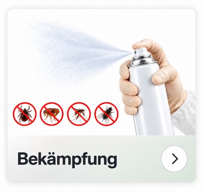 Bekämpfung