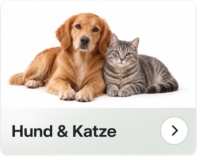 Hund und Katze