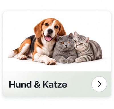 Hund und Katze