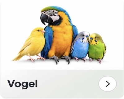 Vogel