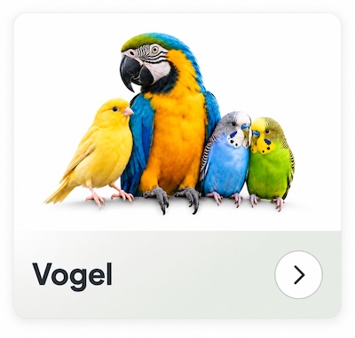 Vogel