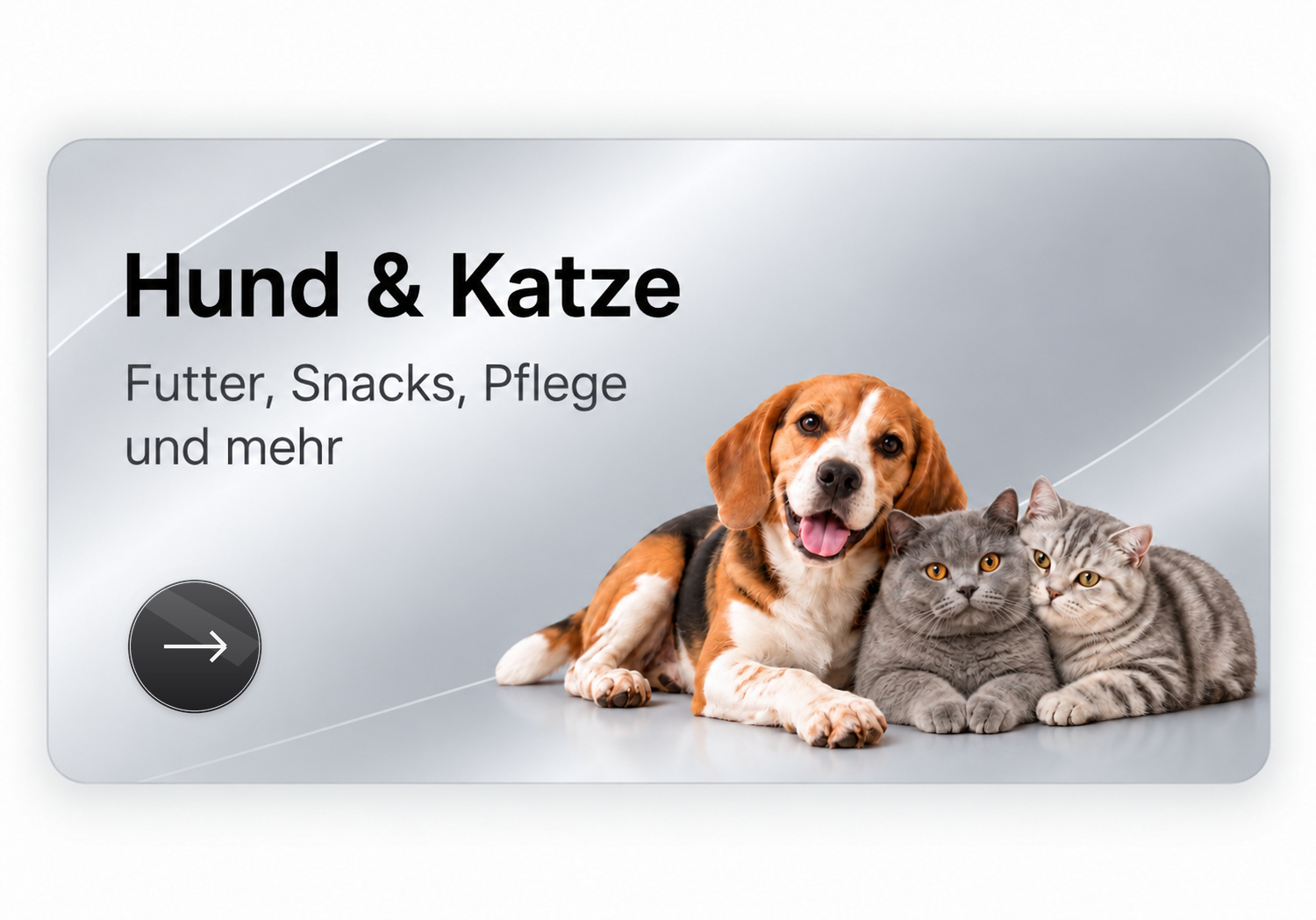 Hund und Katze