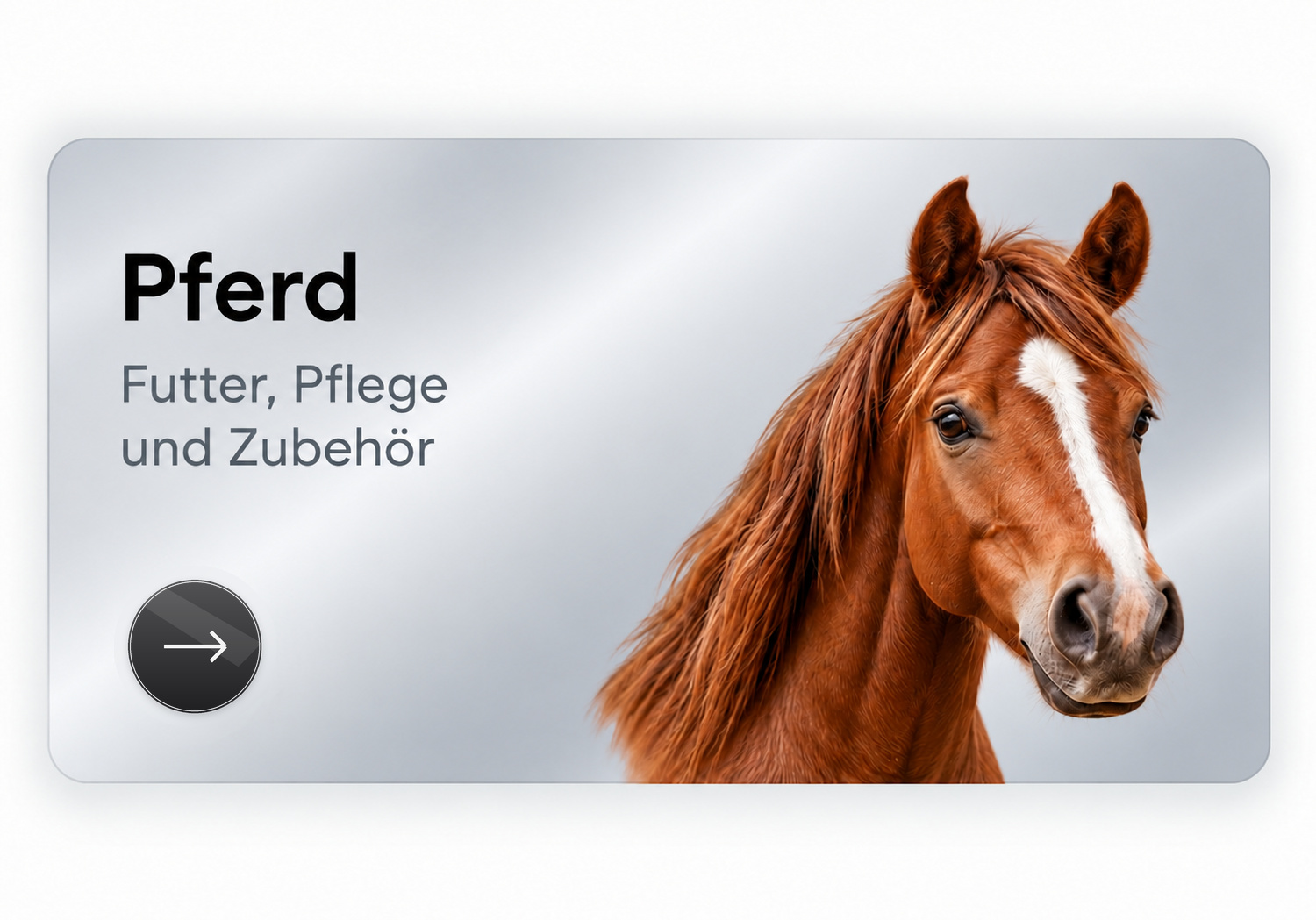 Pferd