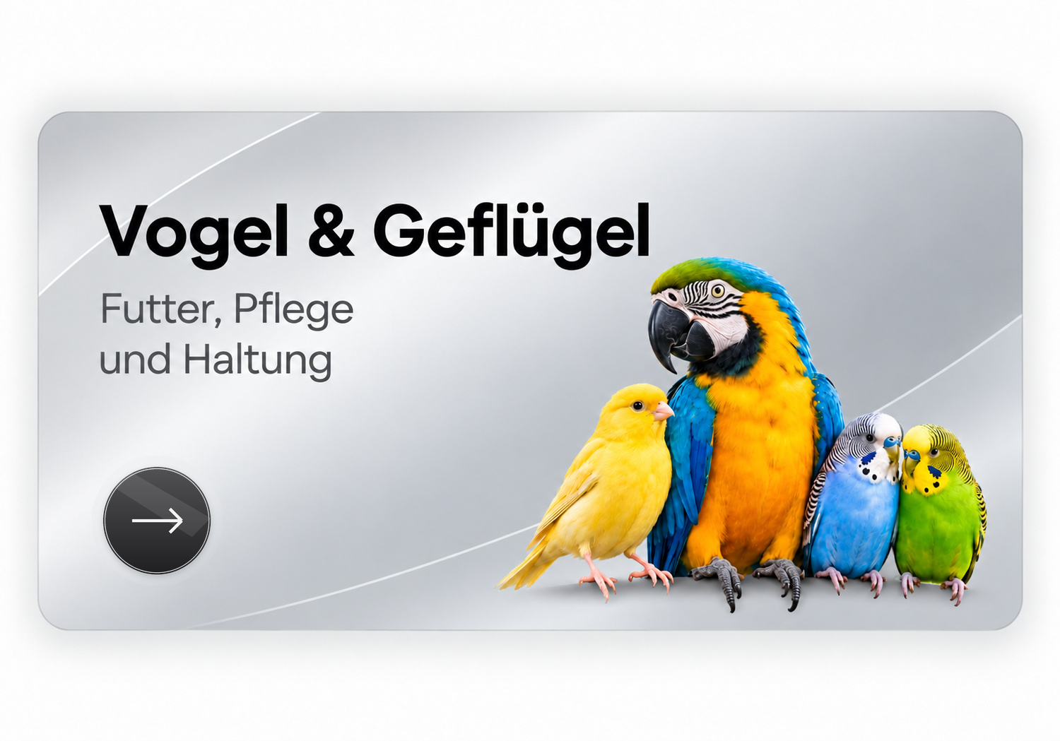 Vogel