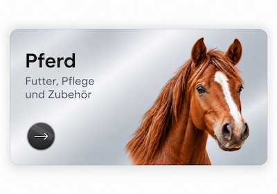 Pferd