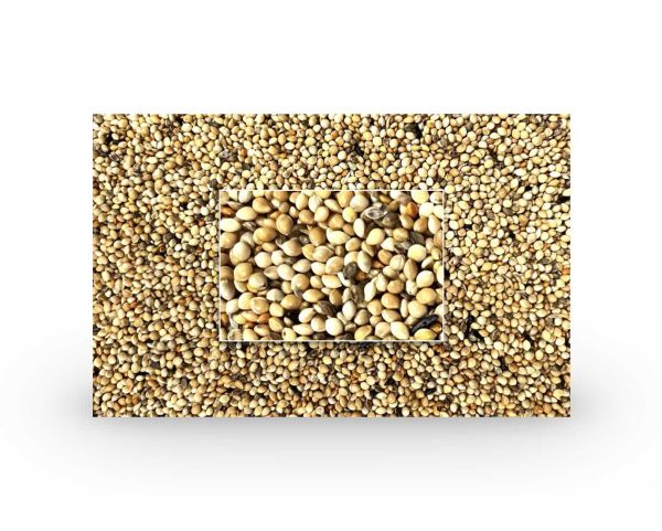 Preview: Exoten Keimfutter