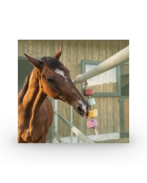 Likit Zunge Twister Pferd Pony Stabiles Spielzeug Wandmontage Rotierend