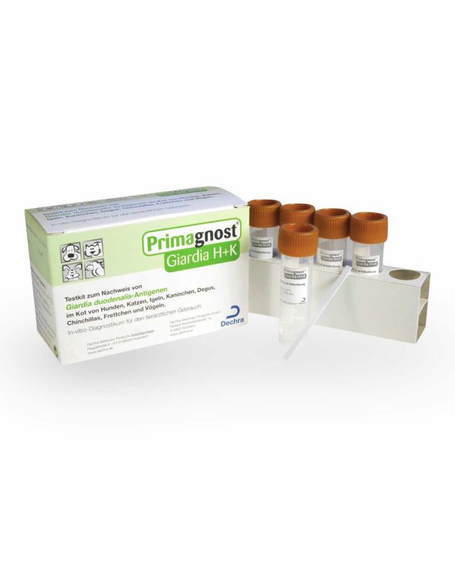 Primagnost Giardia H+K  5 Test